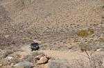 DSC_0703.JPG