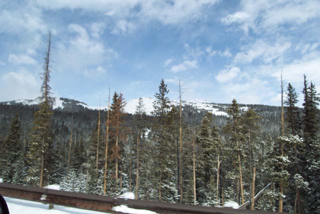 Hwy 16 in the BigHorn National Forest