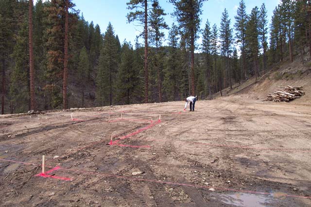 Laying out the House