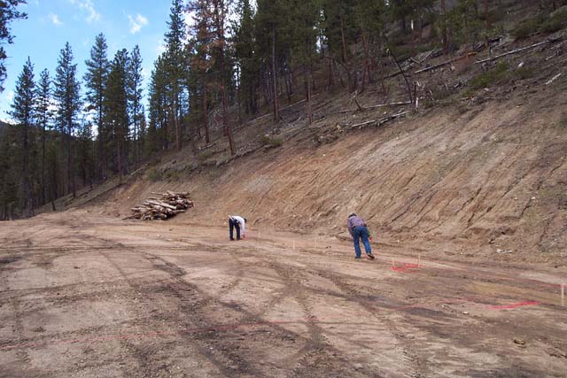 Laying out the House