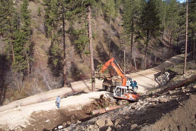 Removing some Dead Trees