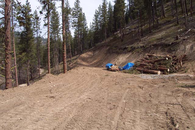 View Towards the North