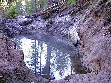 Pond from Spring