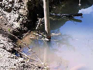 Pond Level Has Not Dropped Much