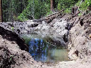 And Yet Another picture of the Pond