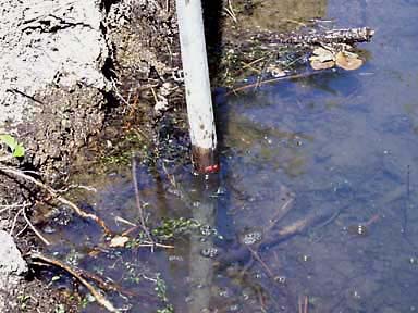 No Change in the Water Level