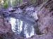 Pond from Spring