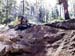 Cutting in a Trail