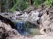 And Yet Another picture of the Pond