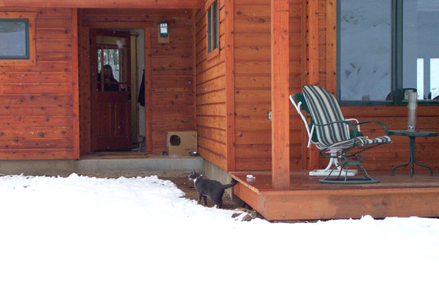 Jack not supposed to be outside