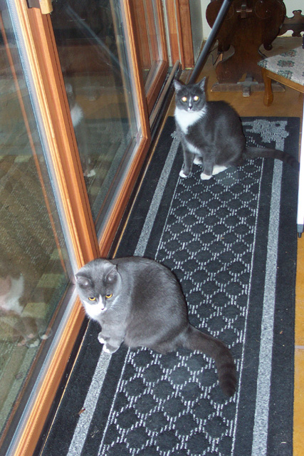 Jack andJill wanting March weather