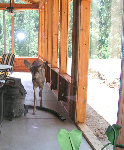 Beware of neighbors who trespass 