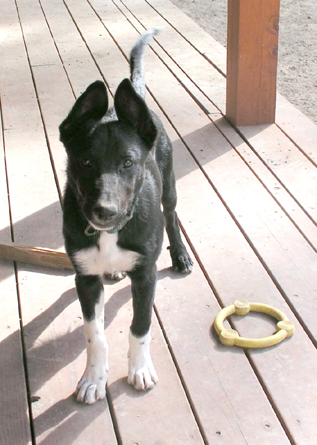 Buster is getting bigger  