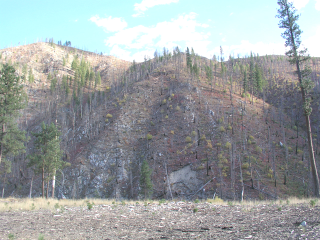 Going camping, driving past old fires 