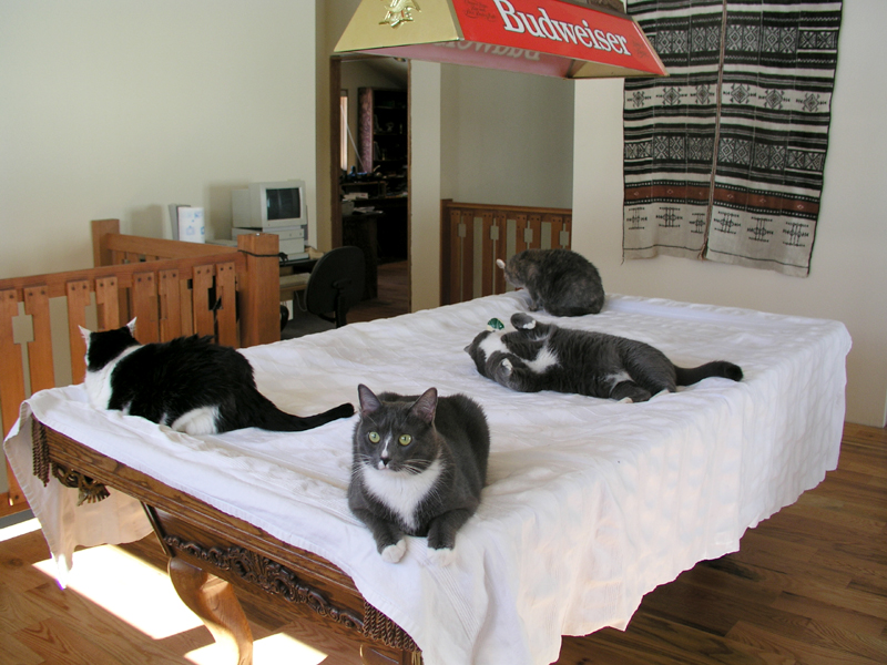 OLYMPUS DIGITAL CAMERA         