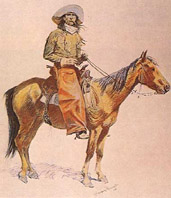 Arizona cowboy