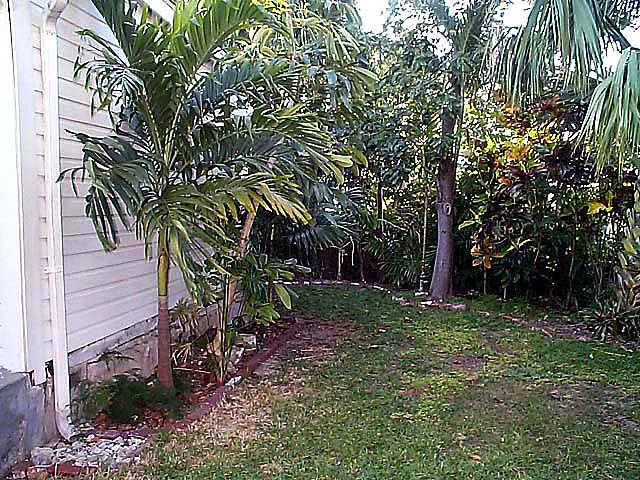 Backyard of the house in Key West