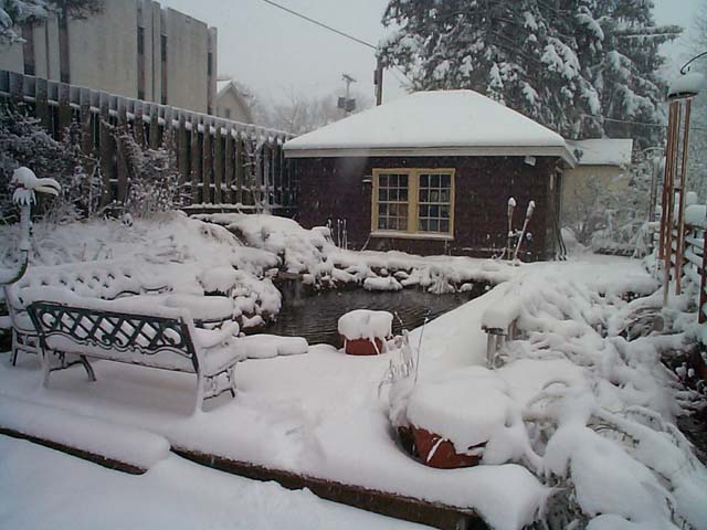 Pond during snow storm April 7 2000